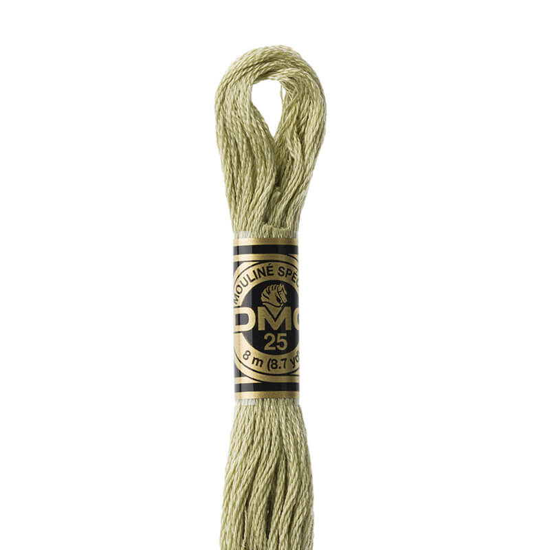DMC mulinē diegs izšūšanai Nr. 986-3809