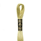 DMC mulinē diegs izšūšanai Nr. 986-3809
