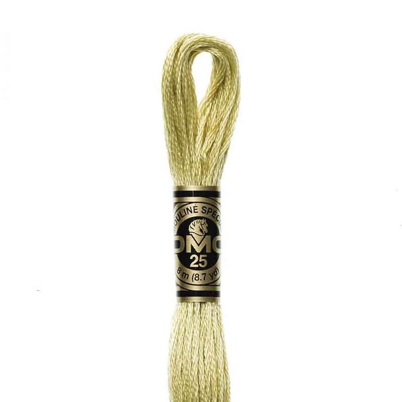 DMC mulinē diegs izšūšanai Nr. 986-3809