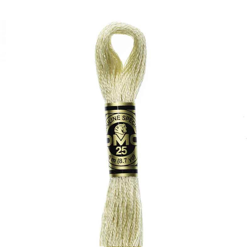 DMC mulinē diegs izšūšanai Nr. 986-3809