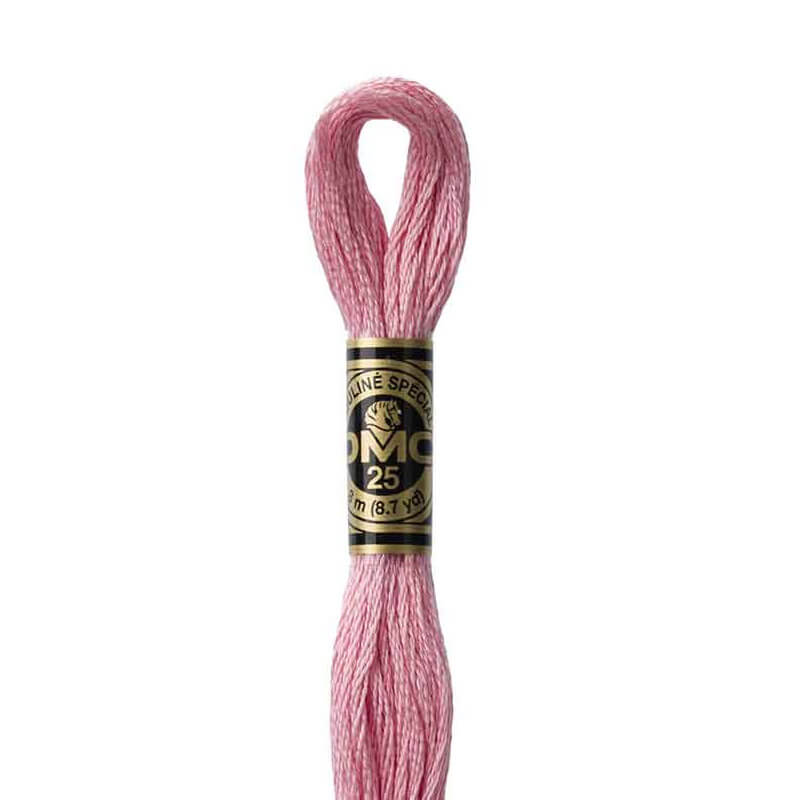 DMC mulinē diegs izšūšanai Nr. 986-3809