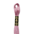 DMC mulinē diegs izšūšanai Nr. 986-3809