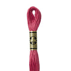 DMC mulinē diegs izšūšanai Nr. 986-3809