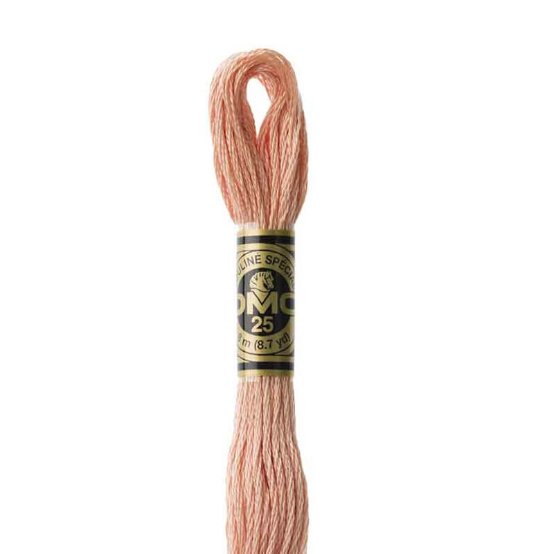 DMC mulinē diegs izšūšanai Nr. 986-3809