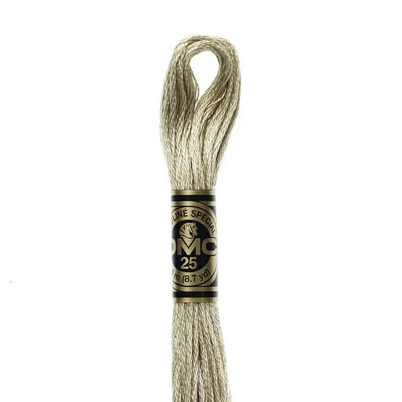 DMC mulinē diegs izšūšanai Nr. 986-3809