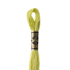 DMC mouliné embroidery thread No. 3810-3866