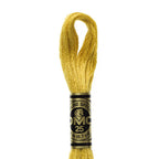 DMC mouliné embroidery thread No. 3810-3866