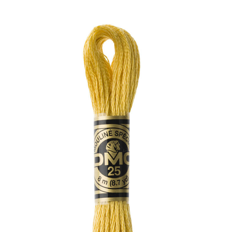 DMC mouliné embroidery thread No. 3810-3866