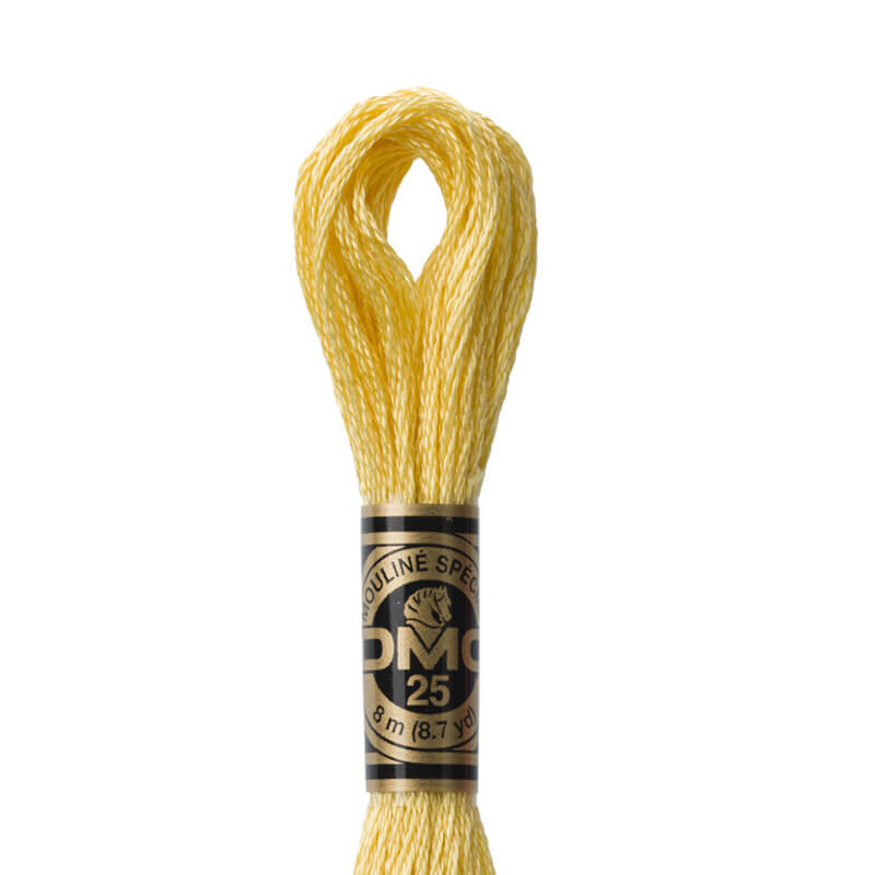 DMC mouliné embroidery thread No. 3810-3866