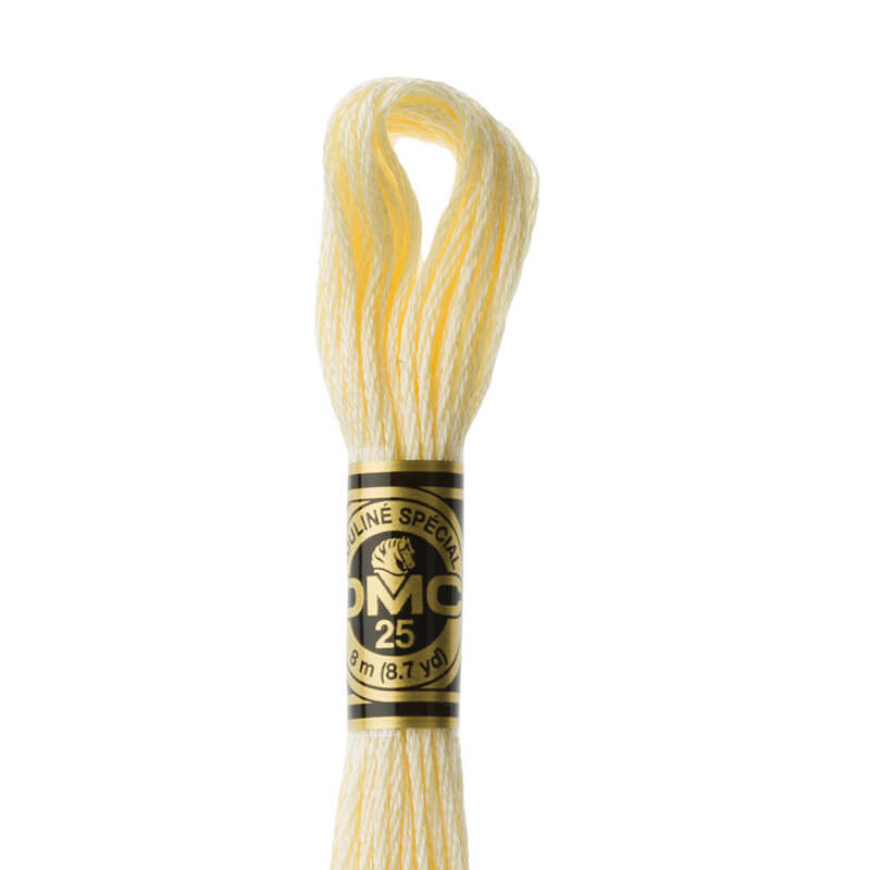 DMC mouliné embroidery thread No. 3810-3866