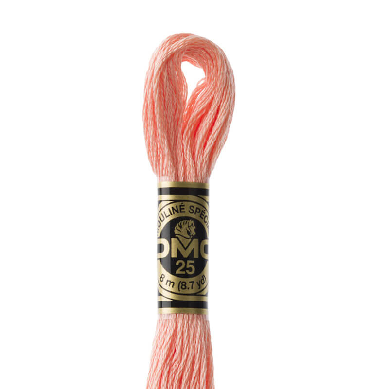 DMC mouliné embroidery thread No. 3810-3866