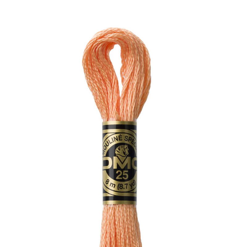 DMC mouliné embroidery thread No. 3810-3866