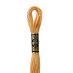 DMC mouliné embroidery thread No. 3810-3866
