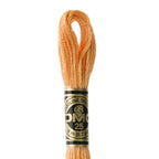 DMC mouliné embroidery thread No. 3810-3866