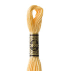 DMC mouliné embroidery thread No. 3810-3866