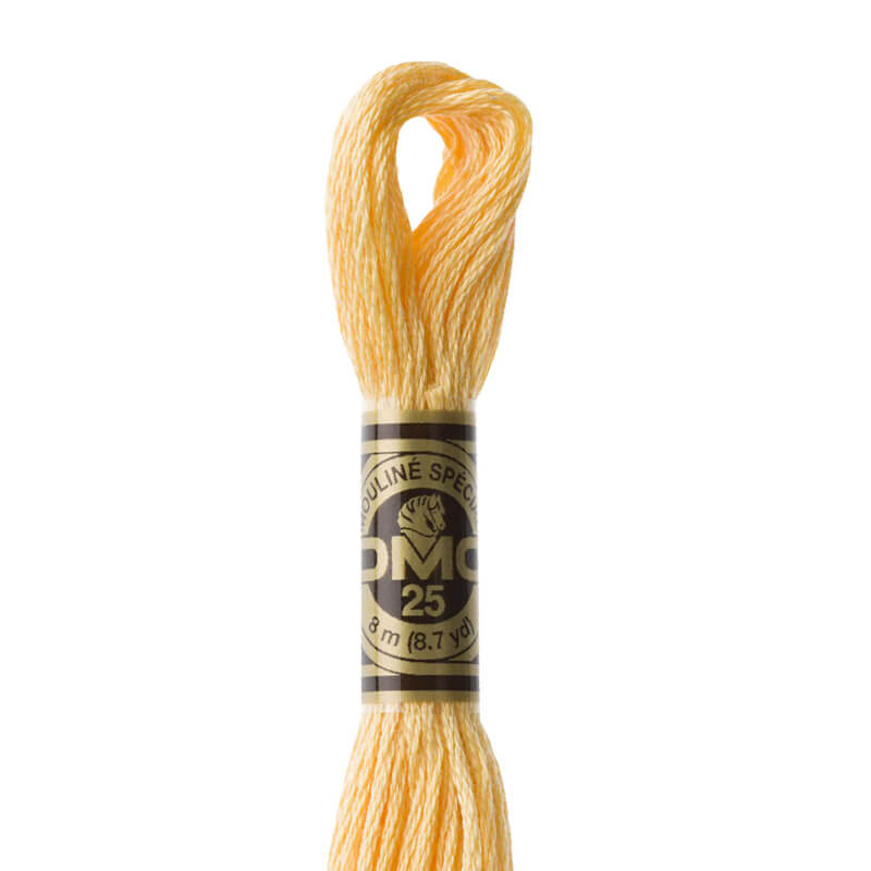 DMC mouliné embroidery thread No. 3810-3866