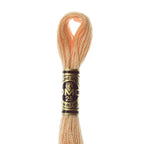 DMC mouliné embroidery thread No. 3810-3866