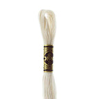 DMC mouliné embroidery thread No. 3810-3866