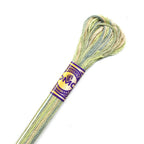 DMC diegs izšūšanai, krāsains