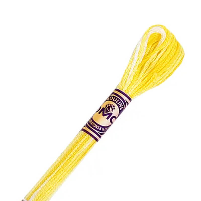 DMC diegs izšūšanai, krāsains