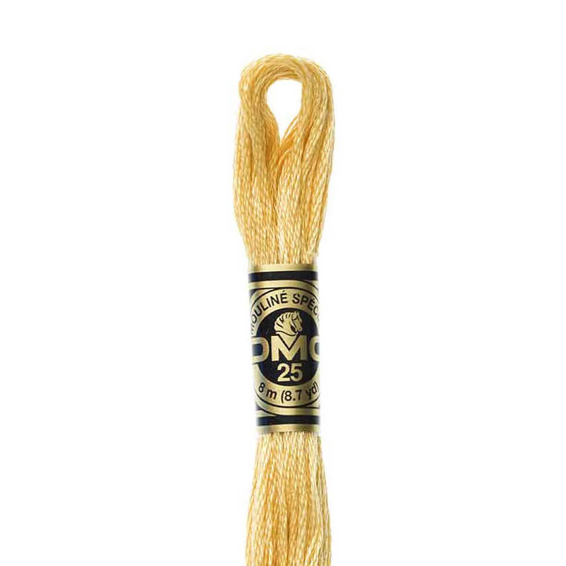 DMC mulinē diegs izšūšanai Nr. 472-796