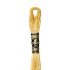 DMC mulinē diegs izšūšanai Nr. 472-796
