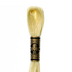 DMC mulinē diegs izšūšanai Nr. 472-796