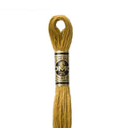 DMC mulinē diegs izšūšanai Nr. 472-796