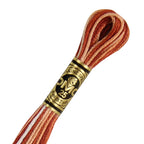 DMC diegs izšūšanai, krāsains