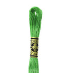 DMC mulinē diegs izšūšanai Nr. 472-796