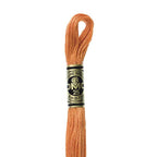 DMC mulinē diegs izšūšanai Nr. 472-796