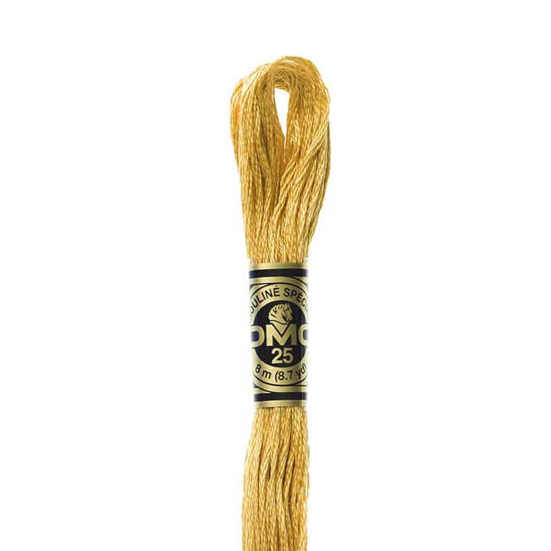 DMC mulinē diegs izšūšanai Nr. 472-796