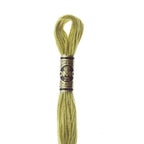 DMC mulinē diegs izšūšanai Nr. 472-796
