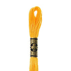 DMC mulinē diegs izšūšanai Nr. 472-796