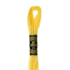 DMC mulinē diegs izšūšanai Nr. 472-796