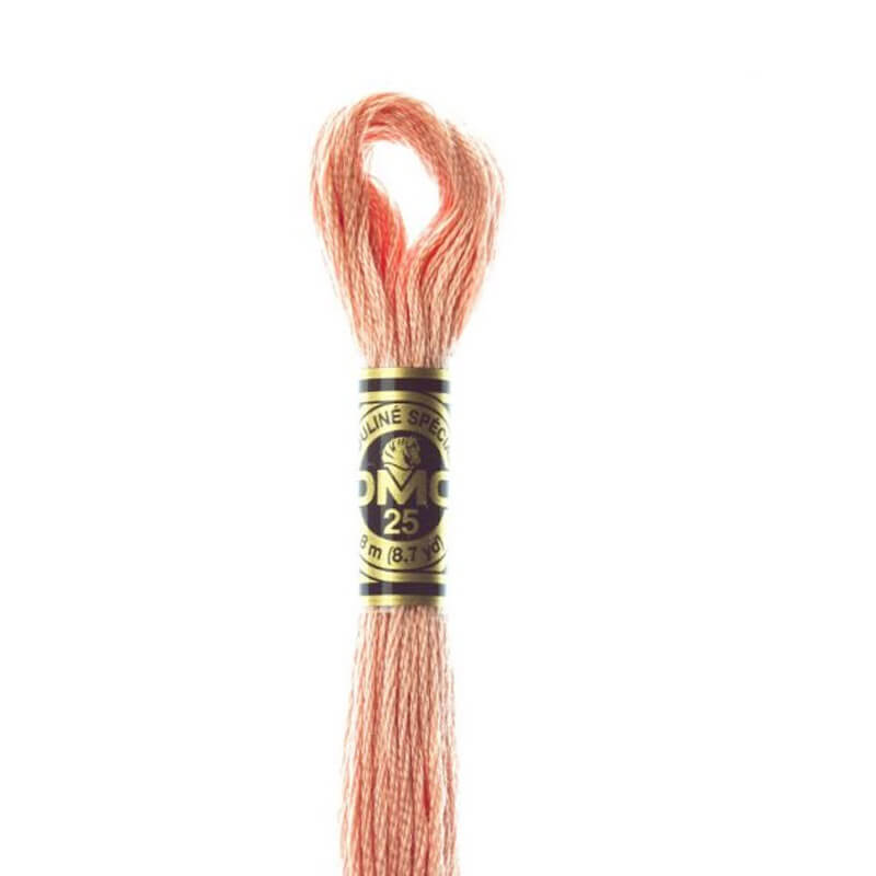 DMC mulinē diegs izšūšanai Nr. 472-796