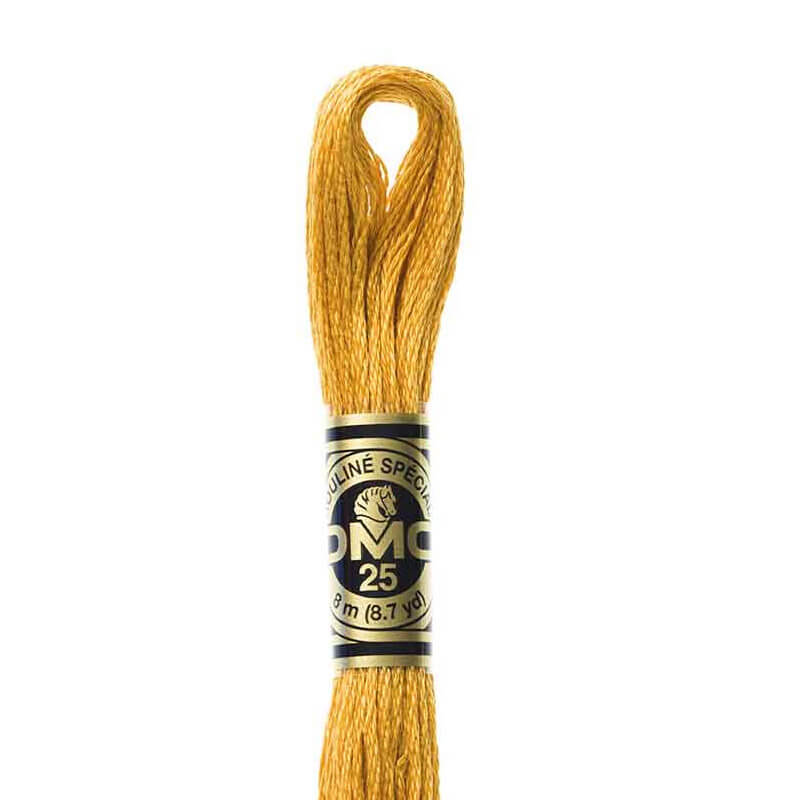 DMC mulinē diegs izšūšanai Nr. 472-796