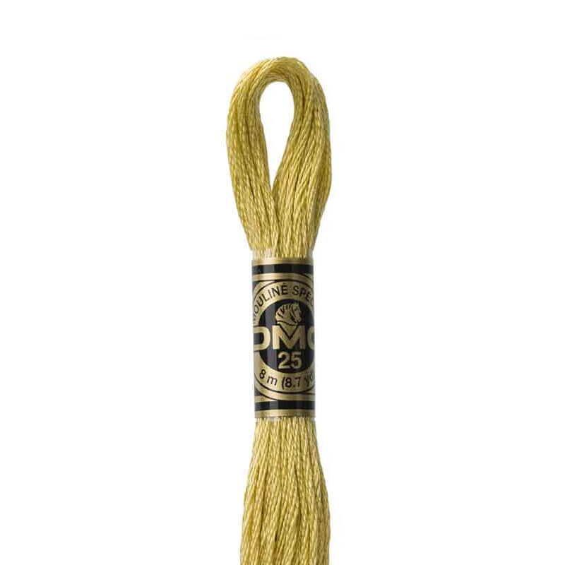 DMC mulinē diegs izšūšanai Nr. 797-977
