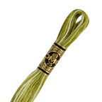 DMC diegs izšūšanai, krāsains