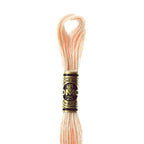 DMC mouliné embroidery thread No. 797-977