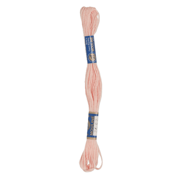 DMC embroidery floss No. 986-3809