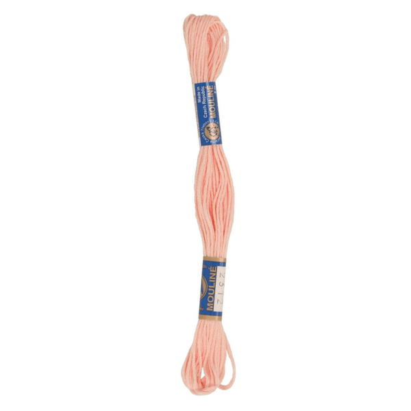 DMC embroidery floss No. 986-3809