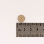 Plastmasas poga Ø11mm - gaiši brūna