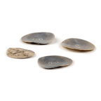Natural mother-of-pearl buttons 16', 28', 32'