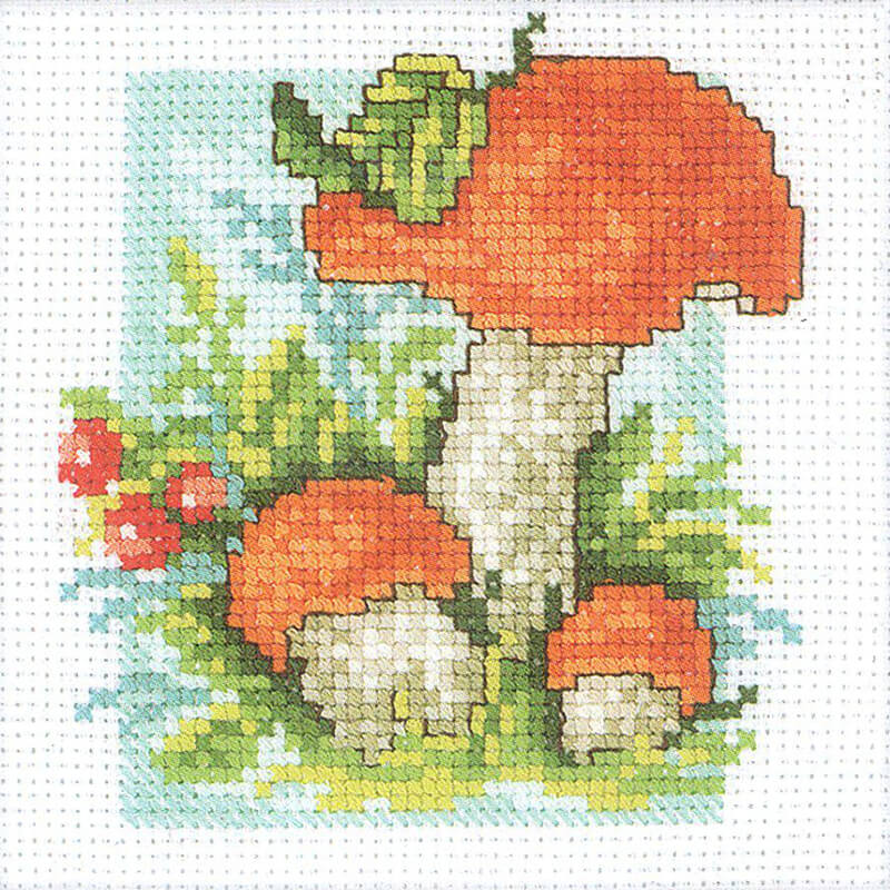 Embroidery kits – fruits / vegetables