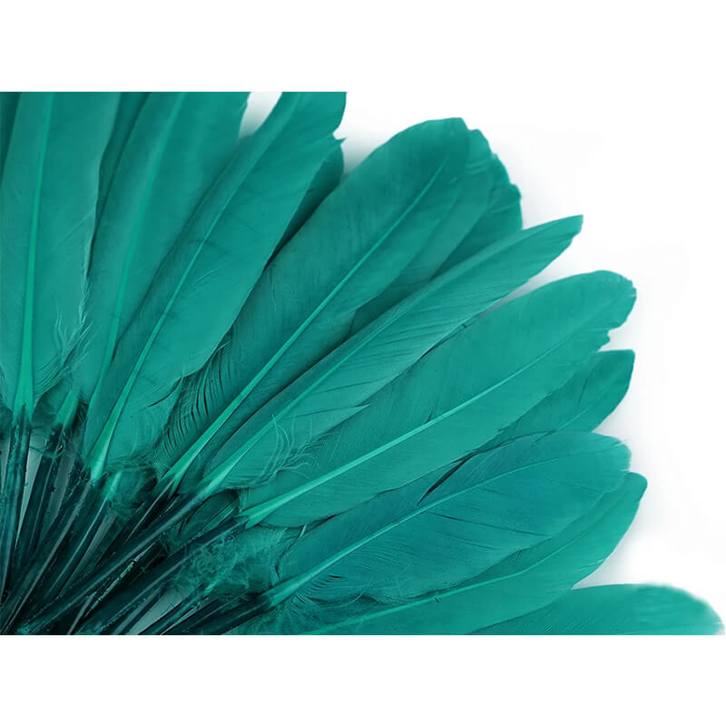 Duck feather
