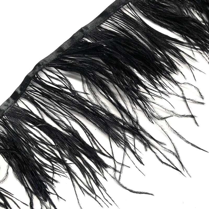 Ostrich feather ribbon