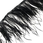 Ostrich feather ribbon