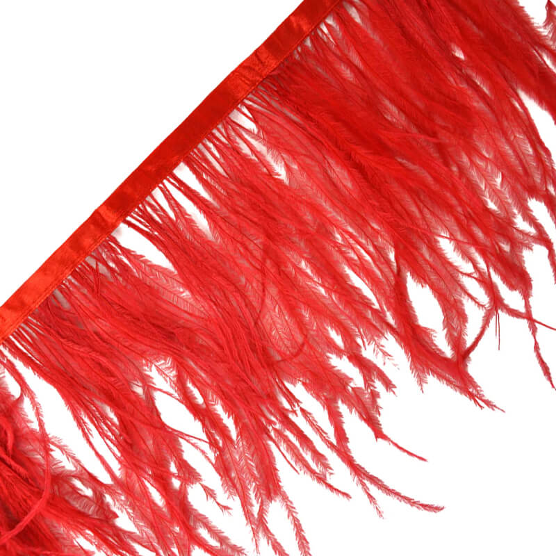 Ostrich feather ribbon