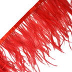 Ostrich feather ribbon